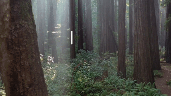 6020 Sequoia Green Inspiration